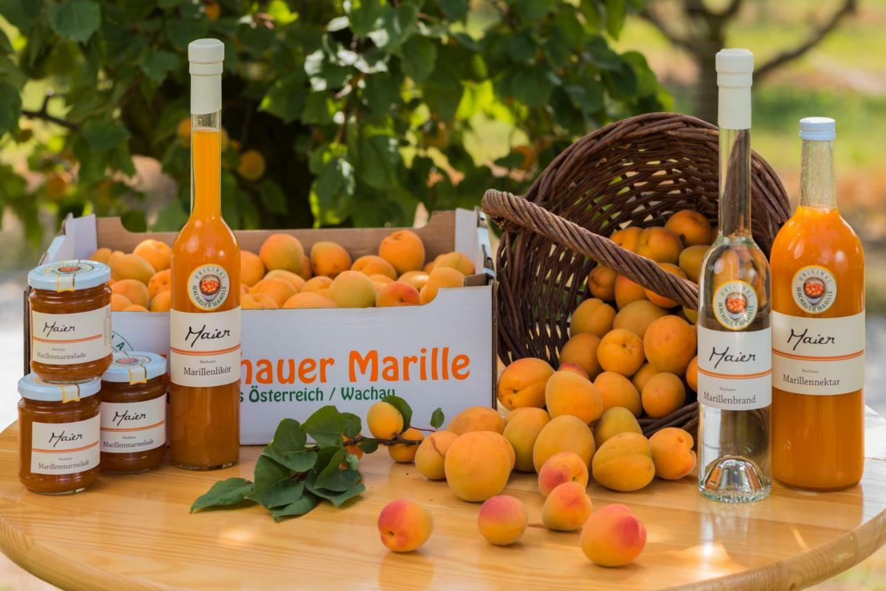 Weinhof - Gaestehaus Maier Angern エクステリア 写真